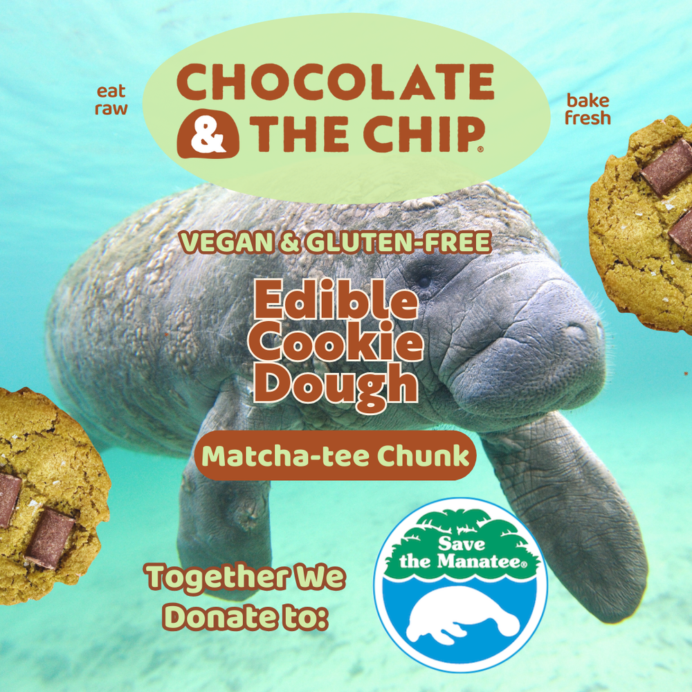 Matcha-tee Chocolate Chunk Cookie Dough | Save The Manatee Club Fundraiser