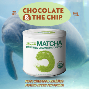 Matcha-tee Chocolate Chunk Cookie Dough | Save The Manatee Club Fundraiser