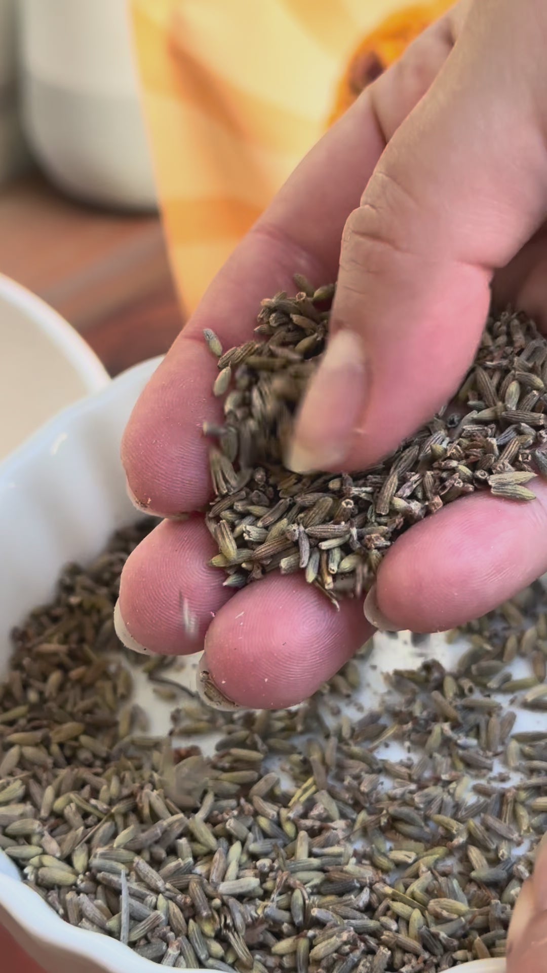 Lavender Chocolate Chip Cookie Mix Bundle